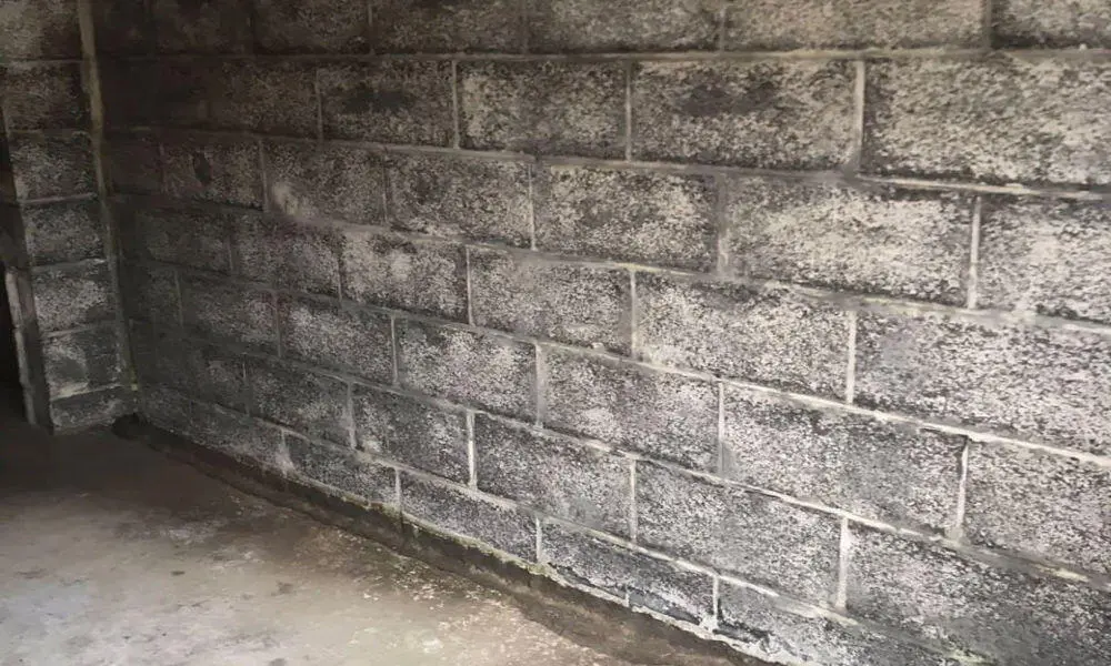 Le salp&ecirc;tre est-il dangereux pour la sant&eacute;&thinsp;?