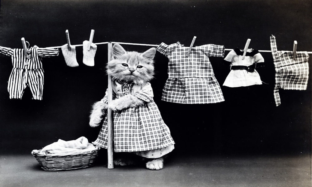 Est-ce une bonne idée de faire sécher son linge à l’intérieur de sa maison ? Est-ce une bonne idée de faire sécher son linge à l’intérieur de sa maison ?
