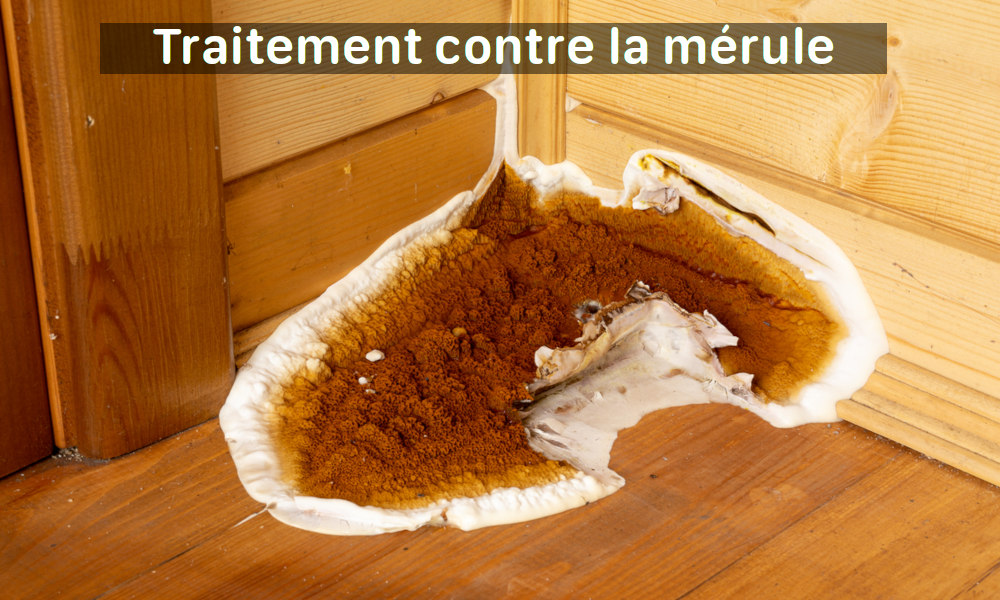 Traitement contre la mérule