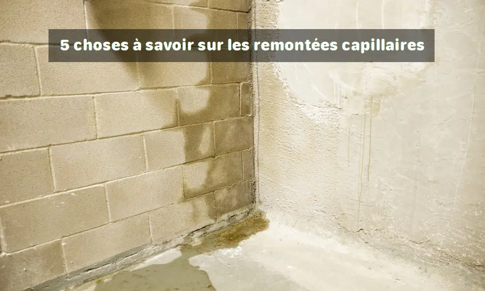 5 choses &agrave; savoir sur les remont&eacute;es capillaires